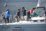 treble elf fra37296 kip16 160514 gjmc 3860